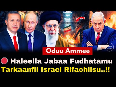 Oduu Ammee Haleellaa Jabaa Fudhatamuuf Israel Rifatte