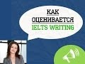 Как оценивается IELTS Writing: подготовка к экзамену по английскому