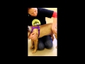 Massage Therapy at The Monmouth County SPCA Massage Therapy at The Monmouth County SPCA