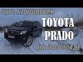 TOYOTA PRADO за 1,5млн после КИТАЙЦА за 2,5млн