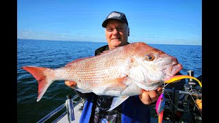 Snapper Season 2022 - Reel Time Fishing Charters screenshot 1