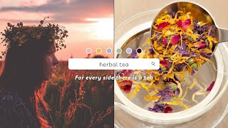 There Is a Tea for Every Side of You - Why We Drink Herbal Tea & What Is Herbal Tea