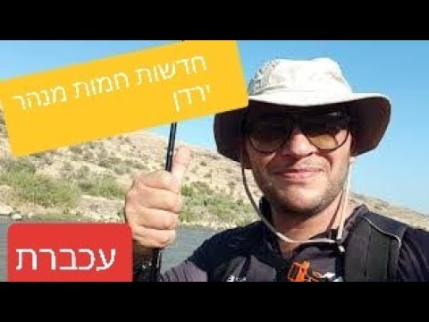 וִידֵאוֹ: טיול בין רהיטי PARCS - עוד ועוד