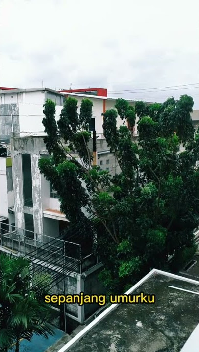 Tyok Satrio - Kamu (Status Whatsapp)