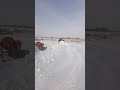 4 февраля 2019 г.