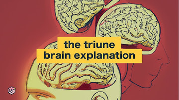 Do you have three brains? (The triune brain theory)