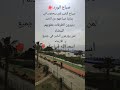 صباح الخير🌹 #صباح_الخير #shortsyoutube #shortsvideo #اكسبلور #علم_النفس #معلومات #shorts