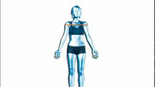Transform - Body Measurements
