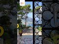 A Peaceful Morning in Capri, Italy 🌿🐾🌊 #funandsun