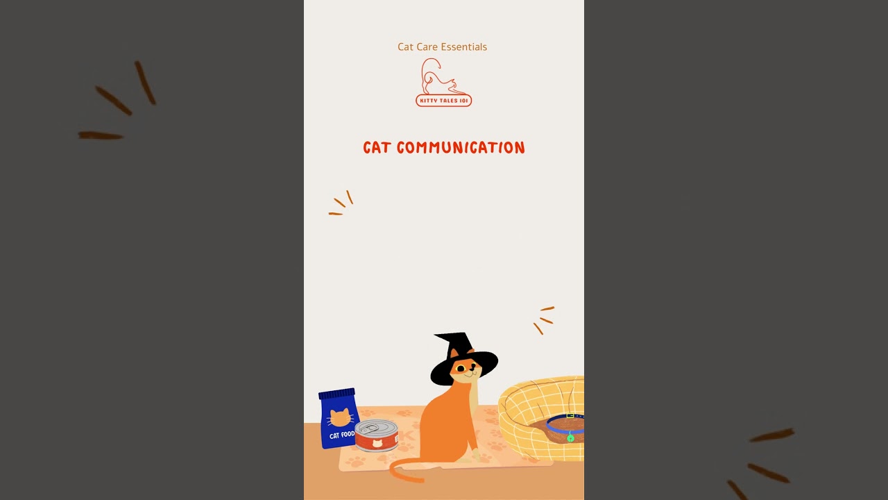 Cat Communication Cats use body language over meows 🐾 Understanding signals strengthens bonds.