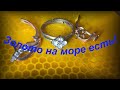 Золото есть! Коп на пляже Черного моря | There is gold! Search on the Black Sea beach