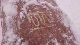 MOV 00371
