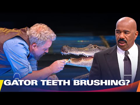 Brushing the Teeth of a Real Alligator?! | Steve Harvey