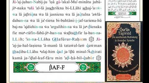 ختمة من مصحف التجويد باللغة الألمانية الصفحة رقم 551