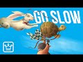If You Want to Move Fast, Go Slow