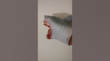 When Shark Puppet