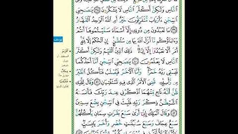 الصفحة (240) من المصحف الشريف ( سورة يوسف - مشروع حفظ لقرآن الكريم )