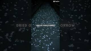 Warrior-immortal lyric #nostalgia       Aesthetic #song #relaxing