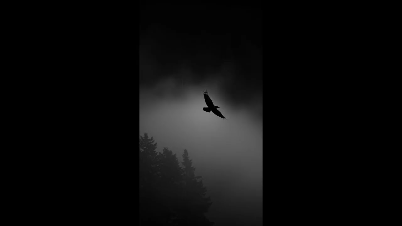 Yeat x Don Toliver Type Beat | 