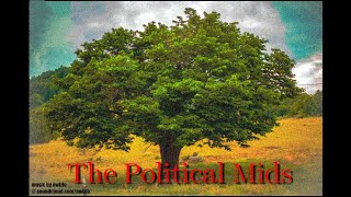 The Political Mids Podcast   #13 House Passes, Tesla Tanks, NPR CEO