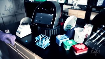 Tali® 이미지 기반 세포분석기- 세포 주기 분석