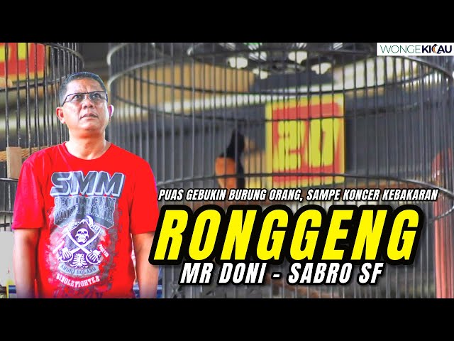 MURAI RONGGENG GANTANG DI PINGGIR GEBUKIN BURUNG ORANG,  MR DONI SABRO SF  I  DNA ENTERPRISE class=