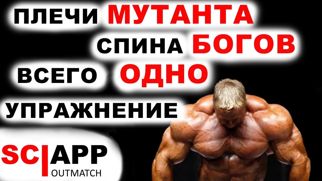 Программа тренировок кавальера. Тренировка спины от Джеффа Кавальера. Бог упражнение. Джефф Кавальер плечи. Бог со спины.