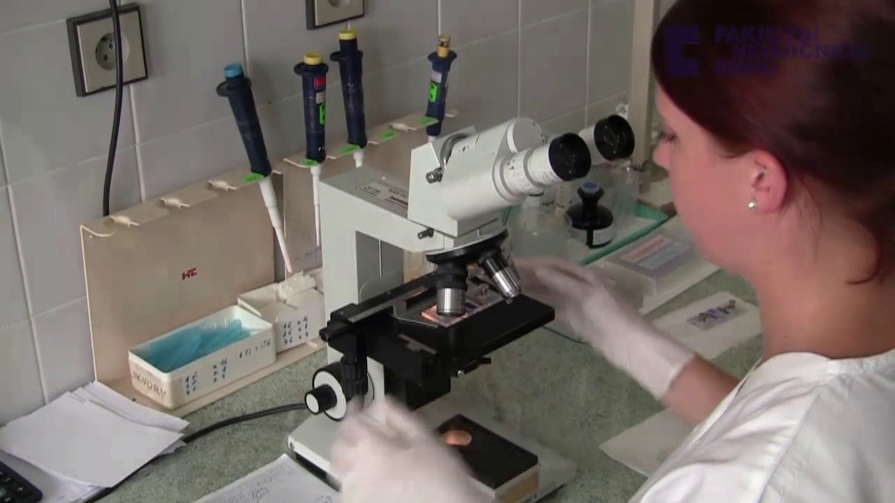 Oddělení klinické biochemie FN Brno