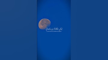 #تلاوة تريح الأعصاب