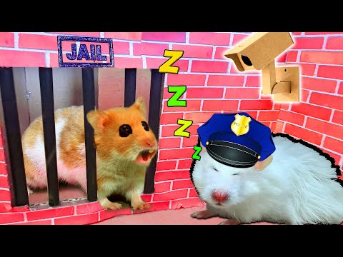 ??Scorpion maze with Traps hamster Police Pets? in Hamster Stories