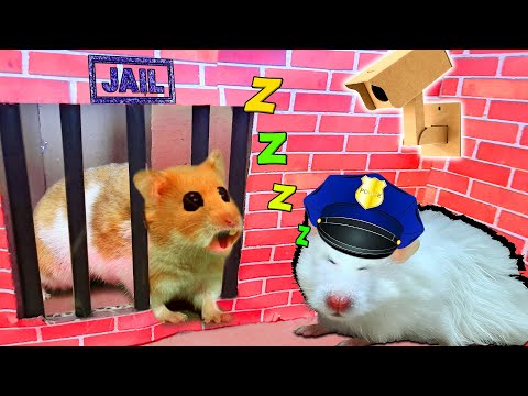 ??Scorpion Maze With Traps Hamster Police Pets? In Hamster Stories