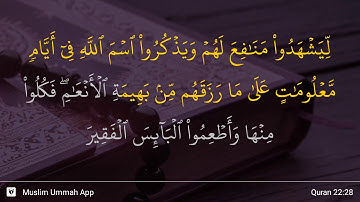 سوره حج، آیه ۲۸