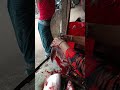 মাছ কাটার রানী 🐠🐟 #fishcutting #bigfish #viralvideo