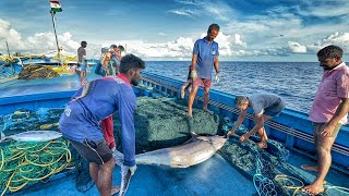 Wow! We Stayed In The Deep Sea For The Sevanth Day And Caught A Lot Of Sail Fish | Day-07 | S04-EP08 by Indian Ocean Fisherman இந்திய பெருங்கடல் மீனவன் 56,124 views 21 hours ago 32 minutes