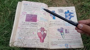 CH 13 support and movement|| complete Ch short and long Questions|| class 10 Biology||