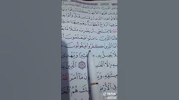 سورة البقرة الاية 26