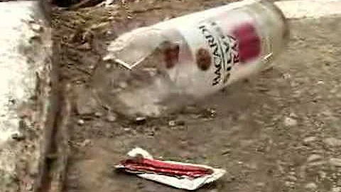Hartranft Litter
