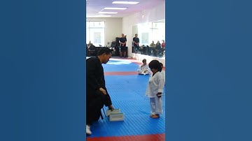 3-Year-Old Tries to Break Board in Taekwondo