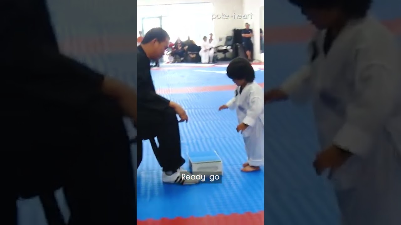 3-Year-Old Tries to Break Board in Taekwondo