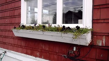 Window Box Installation By Property Inspector, LLC | (425) 207-3688 | CALL US!