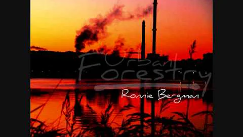 Ronnie Bergman - Fuck it, i love you (Urban Forestry, 2011)