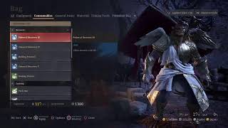 Bless Unleashed PS4 #1 EU Berserker Lionheart Updated