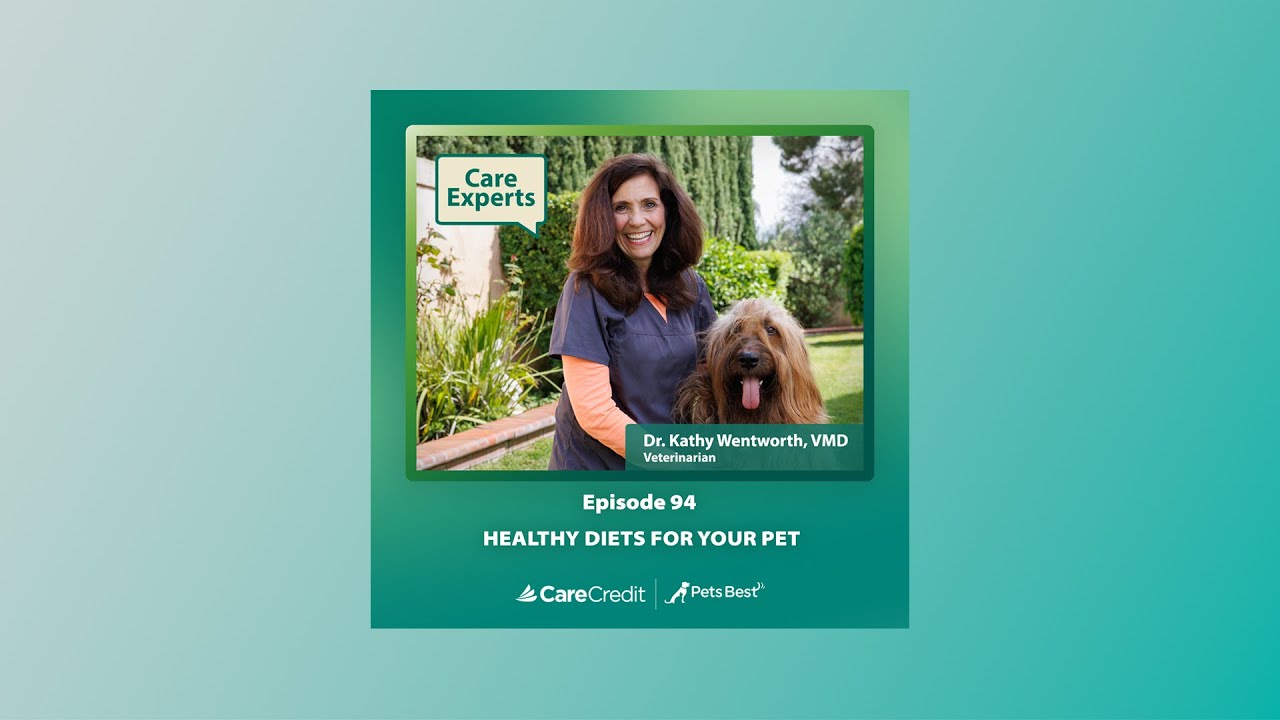 Healthy Diets for Your Pet Care Experts by CareCredit YouTube