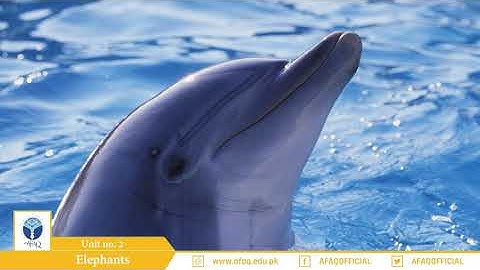 NSS Grade 05 English Chapter 02 Part 02