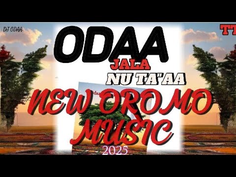 Odaa Jala Oromo Lyrics Video Kush Heritage Song 