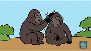 Why Do Humans Speak The Unexpected Origins of Language 🗣️🧠