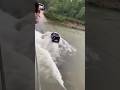 River Crossing #thar #offroadraiderboy #trending #viral #shortsvideo #mahindra #reels #shorts #jeep