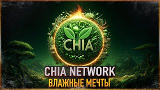 🚯 CHIA УЖЕ СКАМ? ВЛАЖНЫЕ МЕЧТЫ CHIA NETWORK | В ЭТОМ ГОДУ ВСЁ РЕШИТСЯ ДЛЯ XCH