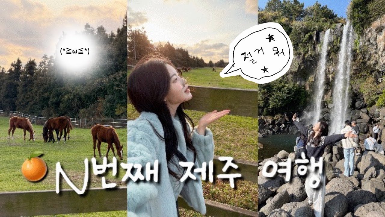 겨울 제주 감성 미쳤다❄️ 제주도 여행 n번째 간 찐 추천 루트🍊