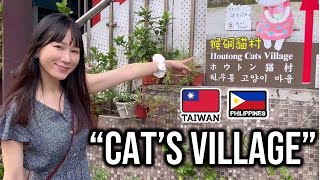 🇵🇭🇹🇼 Fillipino Taiwanese Couple: Cat's Village